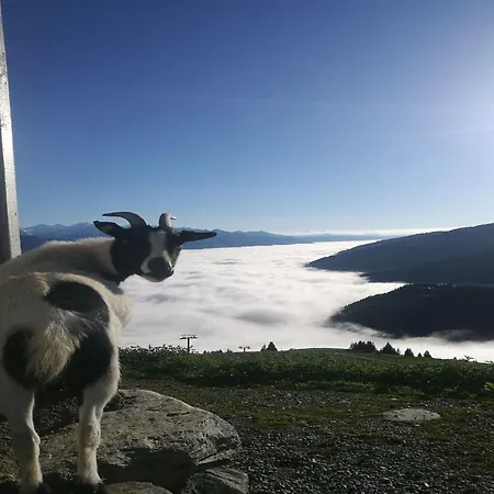 Casa de Férias In Brixental By Lift Access *